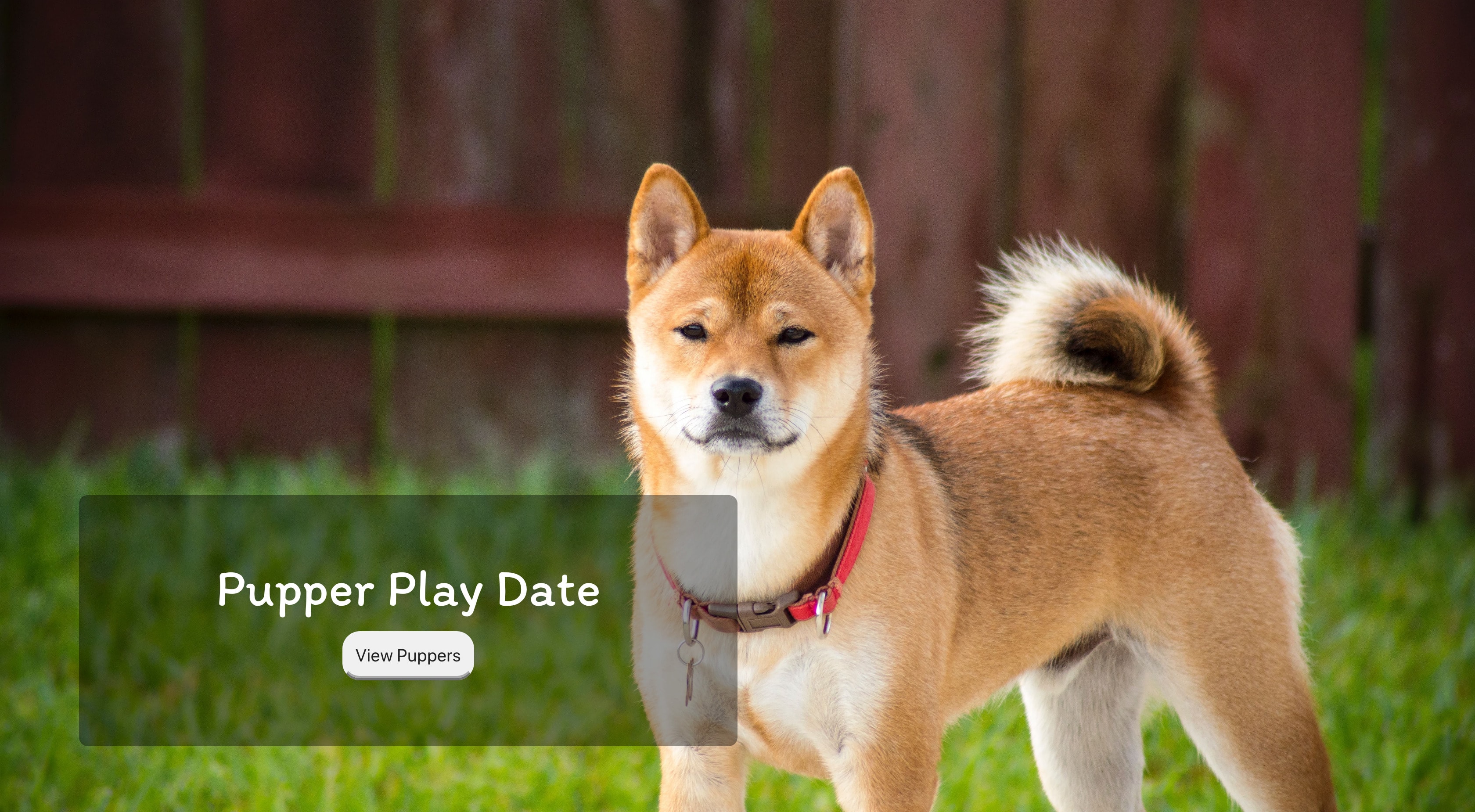 Landing screen of pupper playdate